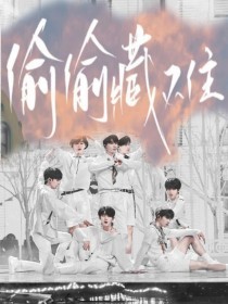 深入了解 某柠檬 柠檬味的导航